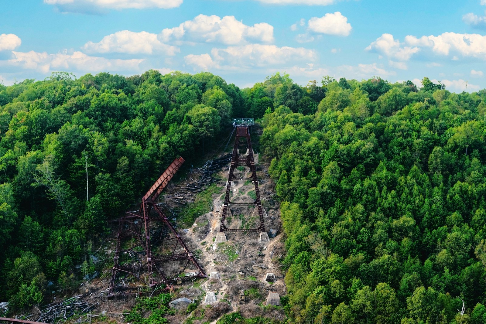 a train traveling through a lush green forest