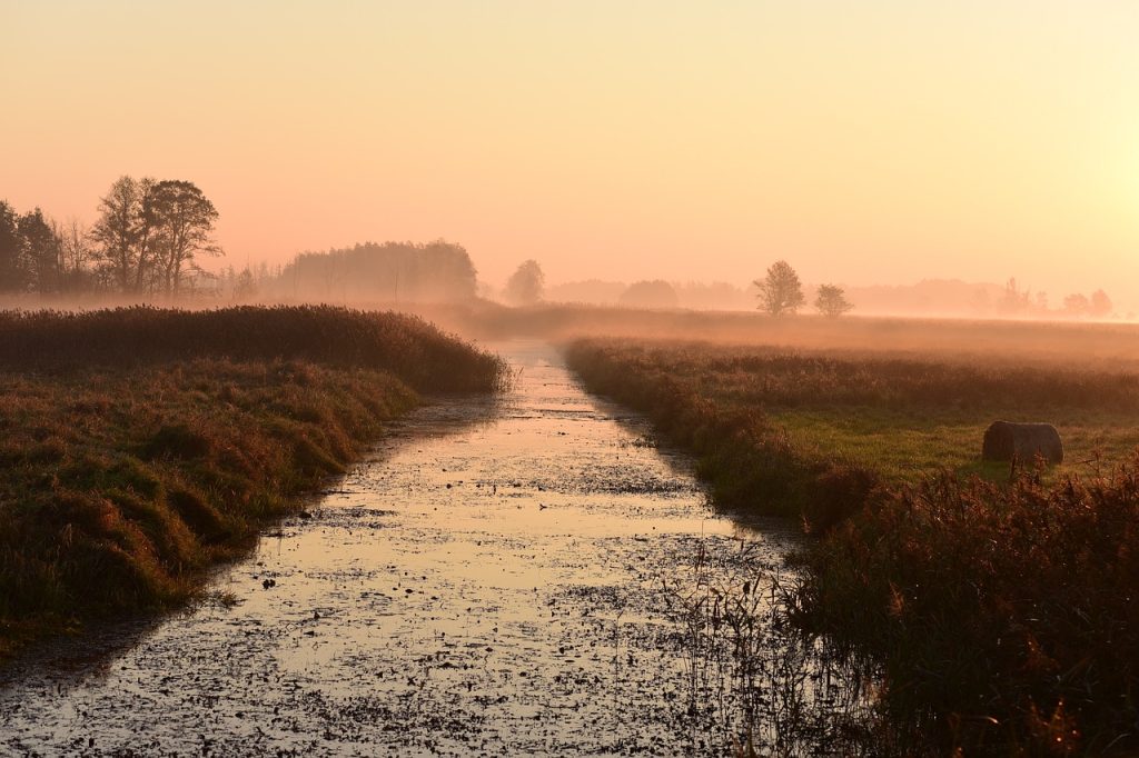 sunrise, dawn, the kampinos forest