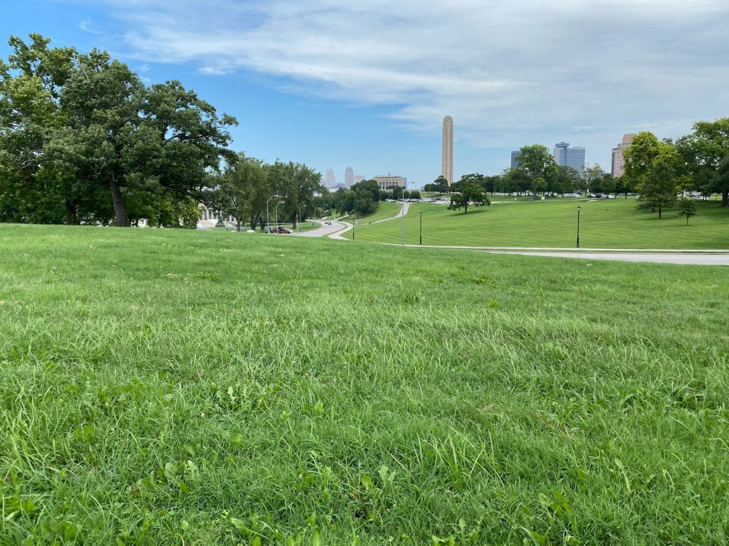 green grass field with trees under blue sky during daytime