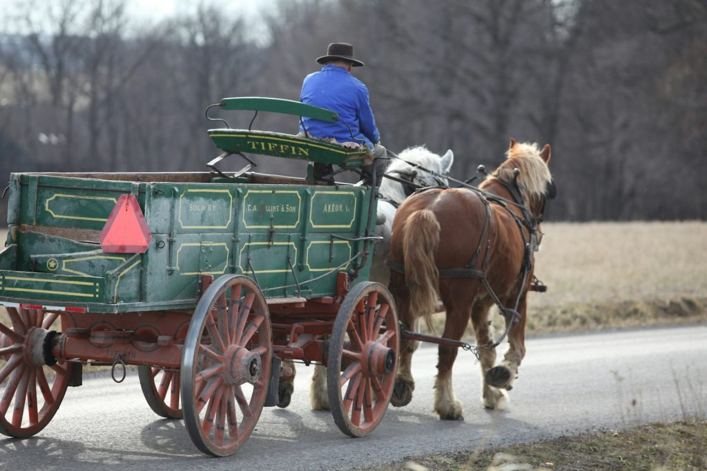 elektryczny bus zamiast konnego wozu